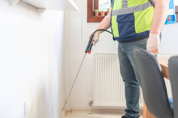 Best Ant Control Services  in Castle Rock, CO