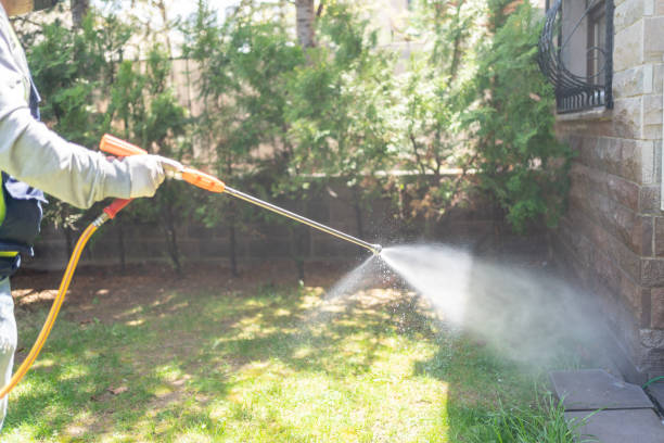 Best Spider Control Near Me  in Castle Rock, CO