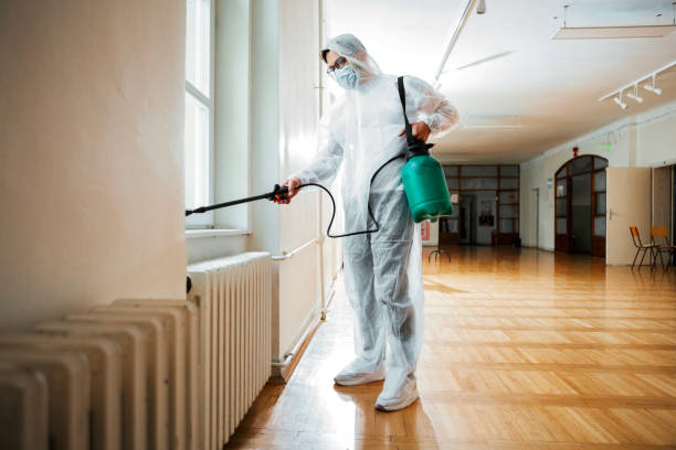 Best Wildlife Control Services  in Castle Rock, CO