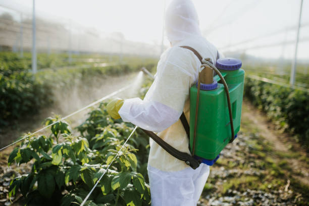 Reliable Castle Rock, CO Pest Control Solutions